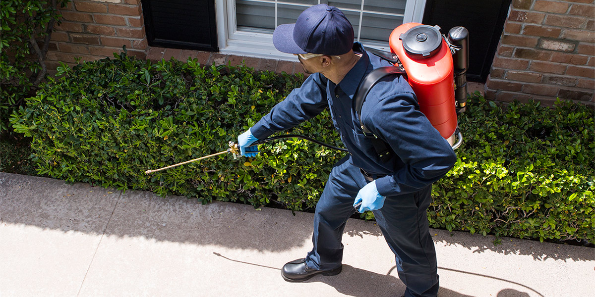 Pest Control Services Chesterfield MA