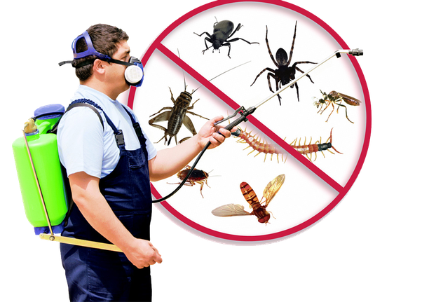 Pest Control Services Stratton ME