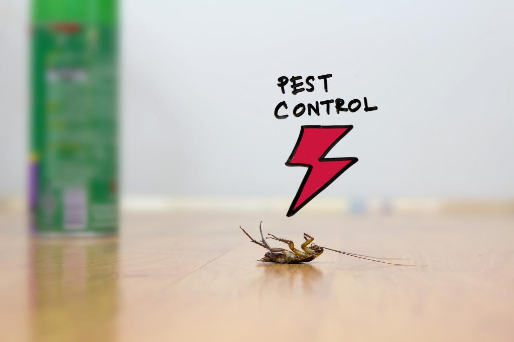 Pest Control Services Strong ME