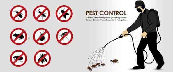 Pest Control Green Valley IL