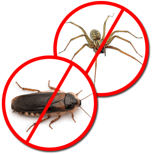 Pest Control Services Suffield CT