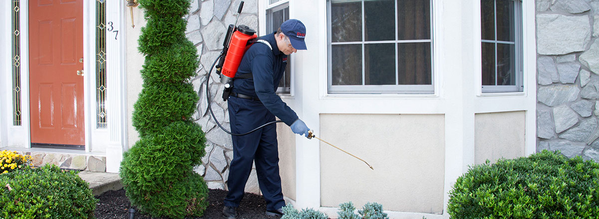 Pest Control Waterford CT