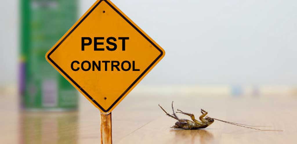Pest Control Hill Afb UT