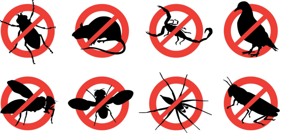 Pest Control Companies Goodyear AZ