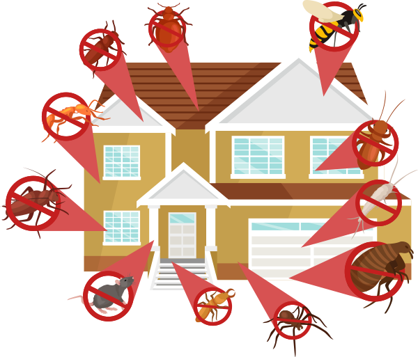 Pest Control Services Guilford ME
